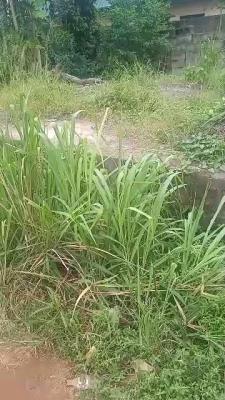 Strategic 247 Sqm of Land with C of O, Ajala-ijaiye, Ojokoro, Ifako-ijaiye, Lagos, Residential Land for Sale