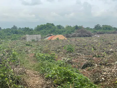 Land Measuring 600.123SQM — Omololu Olunloyo Estate, Ibadan, Oyo