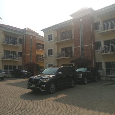 Standard 3 Bedroom Apartment with Bq, Lekki Phase 1, Lekki, Lagos, Flat / Apartment for Rent