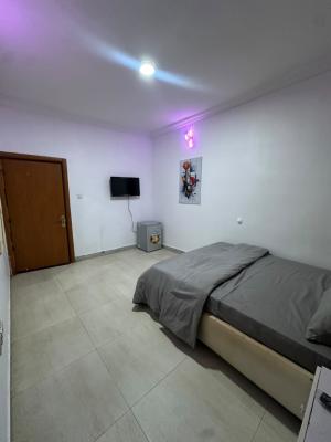 Affordable Yet Cozy Monthly Apartment, Ajiran Mews, Agungi, Lekki, Lagos, Flat / Apartment Short Let
