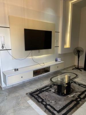 Furnished 1 Bedroom Apartment, Asokoro, Asokoro District, Abuja, Flat / Apartment for Rent