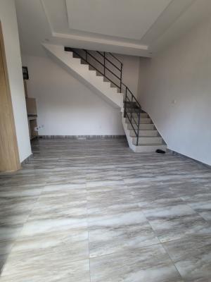 Beautiful Newly Built Miniflat Duplex in Lekki Phase 2, Salem Ikate Lekki Phase 2, Lekki, Lagos, Mini Flat (room and Parlour) for Rent