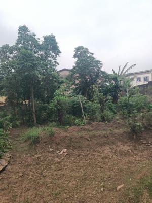 a Very Solid  and Very Dry Land of 625sqn, Thomas Ajufo Estate, Alimosho, Lagos, Residential Land for Sale