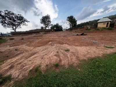 Great Investment Potential with High Appreciation Value, Asokoro District, Abuja, Residential Land for Sale