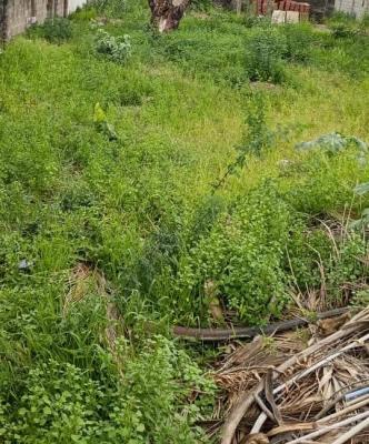 1278sqm Land, Along The Expressway Way, Ikate, Lekki, Lagos, Commercial Land for Sale