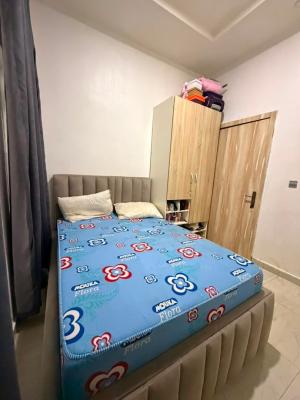 Luxurious Selfcontained, Orchid, Lekki Phase 2, Lekki, Lagos, Self Contain (single Rooms) for Rent
