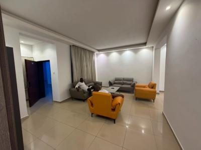 Luxury  Two Bedroom Apartment with Swimming Pool, Jabi, Abuja, Flat / Apartment for Rent