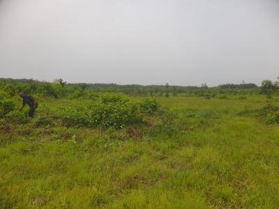 36plots of Land (4.987 Hectares) C of O, Sangotedo, Ajah, Lagos, Mixed-use Land for Sale