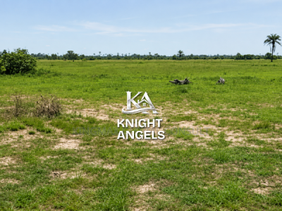 100 Hectares of Prime Land, Guzape 2, Guzape District, Abuja, Mixed-use Land for Sale
