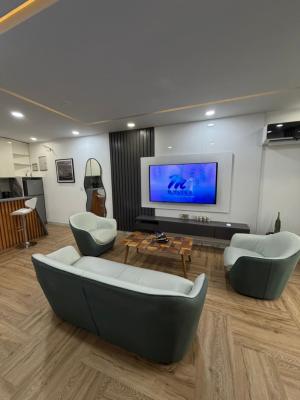1 Bedroom Beautifully Furnished Apartment, Victoria Island,eko Hotel Enviro, Victoria Island (vi), Lagos, Mini Flat (room and Parlour) Short Let
