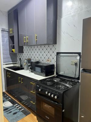4 Bedroom Maisonette on 2 Floors, Bourdillon, Ikoyi, Lagos, Flat / Apartment for Rent