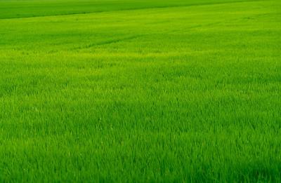 566.957 Sqm Prime Land, Carlton Gate Estate, Chevron Drive, Lekki, Lagos, Land Joint Venture