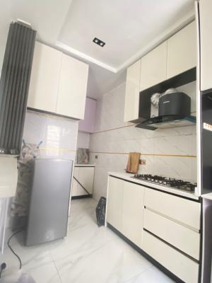 Exclusive Fully Serviced 2bedroom with Lift, Gbangala, Ikate, Lekki, Lagos, Terraced Duplex for Rent
