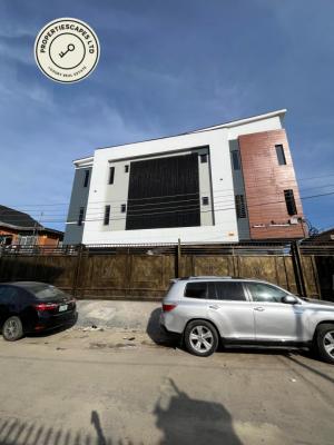 Newly Built 2-bedroom Apartment, Surulere, Lagos, Flat / Apartment for Sale