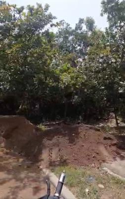 8,274sqm, Residential, C of O, Tarred Road, Guzape Main, Guzape District, Abuja, Residential Land for Sale