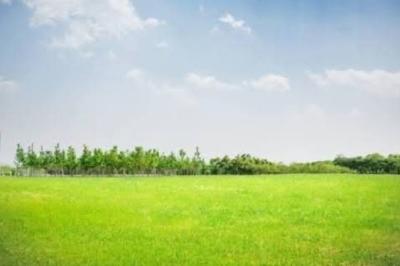 1,200 Sqm Dry Land, Lekki Foreshore Estate, Lekki Phase 1, Lekki, Lagos, Residential Land for Sale