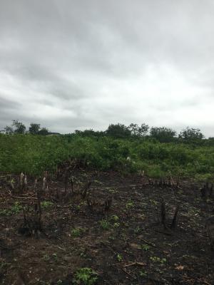 Pepper and Oil Palm Farmland, Owojo, Mowe Ofada, Ogun, Land for Sale