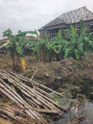 Residential Plot in a Mini and Very Accessible Estate with Good Title, Addo Roundabout, Off Badore Road, Badore, Ajah, Lagos, Residential Land for Sale