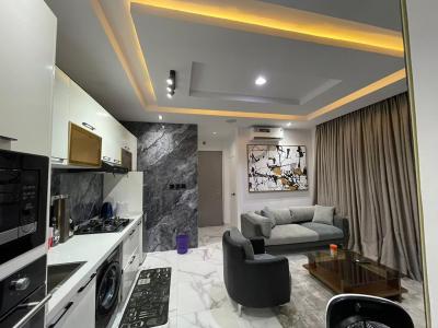 Luxury Fully Furnished 1 Bedroom Apartment, Ikoyi, Lagos, Mini Flat (room and Parlour) for Sale