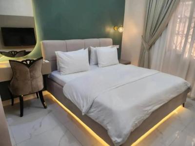 Fully Furnished & Serviced Studio Apartment, S.a. Asebe Street, Behind Emadeb Filling Station, Wuse 2, Abuja, Self Contain (single Rooms) for Rent