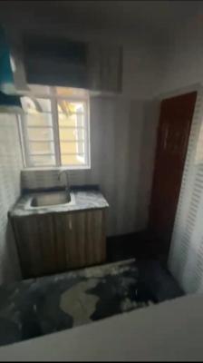 Lovely Sweet Mini Flat, Off Pedro Rd Close to Charlie Boy Axis, Gbagada, Lagos, Mini Flat (room and Parlour) for Rent