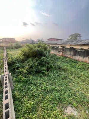 Affordable 334 Sqm of Land Backed By Deed of Assignment, Abule Egba, Agege, Lagos, Residential Land for Sale