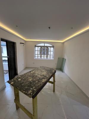 Spacious 2 Bedroom Apartment, Oniru, Victoria Island (vi), Lagos, Self Contain (single Rooms) for Rent