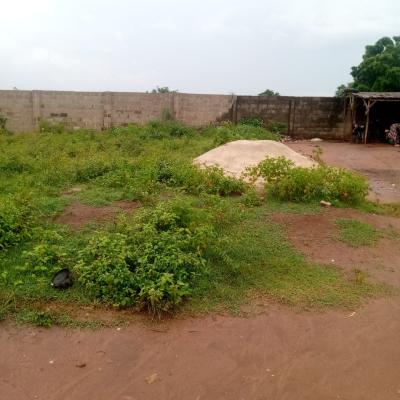 Commercial 2plots of Land Along Lusada Rd, Lusada Road, Agbara, Ado-odo/ota, Ogun, Commercial Land for Sale