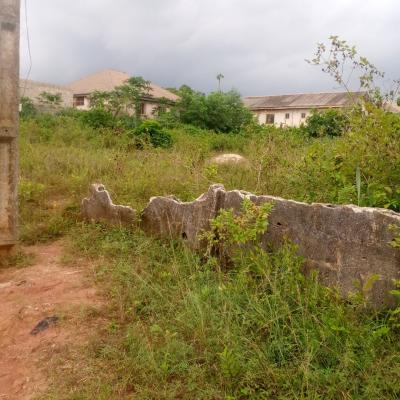 Mixed Use 2plots of Land in a Close Suitable for Hotel Purpose, Ijuri Bus Stop Lusada Road, Agbara, Ado-odo/ota, Ogun, Mixed-use Land for Sale