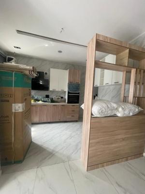 Newly Built to Taste, Ologolo, Lekki, Lagos, Flat / Apartment for Sale