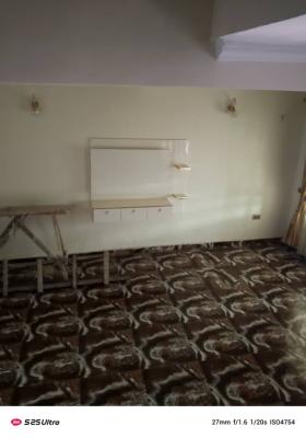 Spacious One Bedroom Flat, Agungi, Lekki, Lagos, Mini Flat (room and Parlour) for Rent