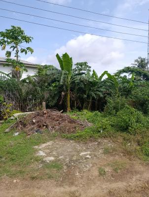 a Standard Plot of Land in a Good Location, Ishola Street, Alagomeji, Yaba, Lagos, Mixed-use Land for Sale