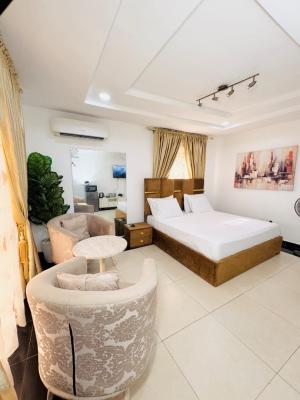 Luxury Furnished and Serviced One Bedroom Apartment in a Serene Enviro, Wuse 2, Close to Bannex, Wuse 2, Abuja, Mini Flat (room and Parlour) for Rent