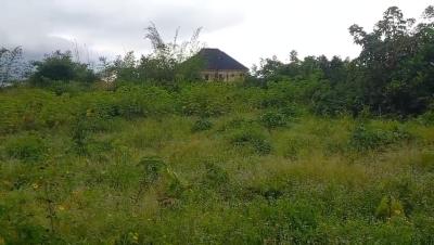 100ft By 100ft Land, Oghede Community, Ekehuan Road, Benin, Oredo, Edo, Residential Land for Sale