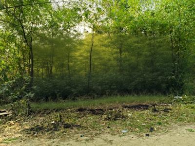 500sqm Land at Awoyaya, Dongo Village, Awoyaya, Ibeju Lekki, Lagos, Residential Land for Sale