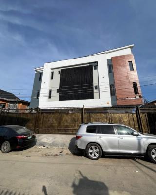 Spacious and Well Maintained 2bedroom Apartment, Surulere, Lagos, Flat / Apartment for Sale