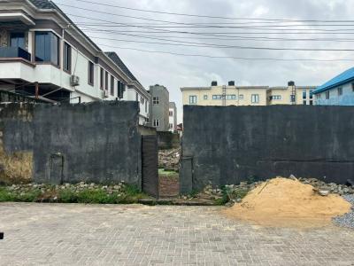 Premium Affordable and Secured Buy and Build Land, Lekki, Lagos, Land for Sale