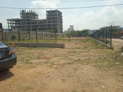 Cbd Land for Lease Restaurant Etc., Central Area, Limi Hospital Ndic Icpc, Central Business District, Abuja, Commercial Land for Rent