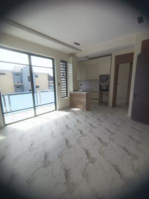 Exquisitely Finished & Serviced 2 Bedroom Apartment, Orchid Road, Lekki Expressway, Lekki, Lagos, Flat / Apartment for Sale
