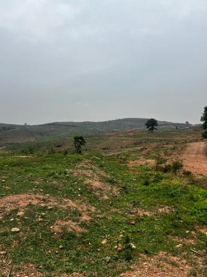 350sqm Land for in Asokoro Abuja ---  Elite Villa Estate, Asokoro District, Abuja, Residential Land for Sale