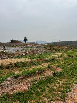 500sqm Land in Asokoro Abuja --- Fcda C of O, Asokoro District, Abuja, Residential Land for Sale