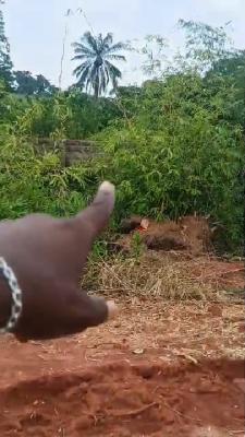 One Plot of Land, Isuaniocha Awka North L.g.a, Awka, Anambra, Mixed-use Land for Sale