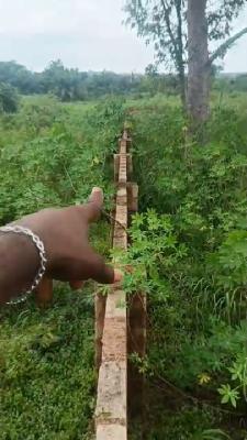 Four Plots of Land, Isuaniocha Awka North L.g.a, Awka, Anambra, Mixed-use Land for Sale