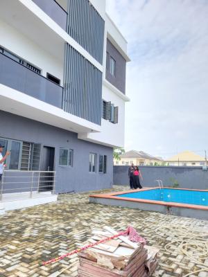 Luxury Two Bedroom Apartment, Lekki Scheme 2 Abraham Adesanya, Lekki, Lagos, Flat / Apartment for Rent