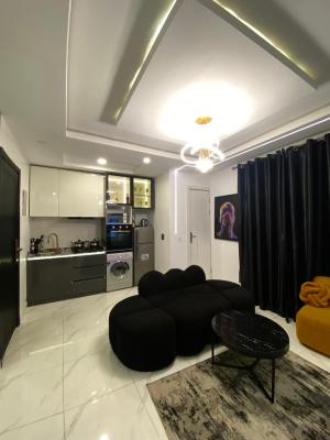 One Bedroom Apartment, Ikate, Lekki, Lagos, Flat / Apartment for Sale
