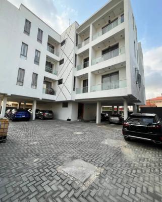 Furnished 2 Bedroom Apartment, Ikate, Lekki, Lagos, Flat / Apartment for Sale