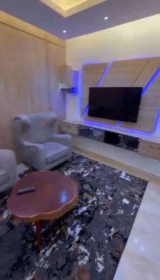Fully Furnished One Bedroom, By H Medix, Garki, Abuja, Mini Flat (room and Parlour) for Rent