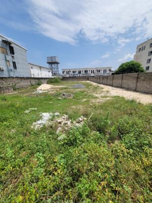 Dry and Fenced 2 Plot of Land, Orchid Road,  Lekki, Lekki, Lagos, Mixed-use Land for Sale