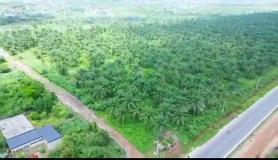 Land, Atan/ado-odo, Agbara-igbesa, Lagos, Land for Sale