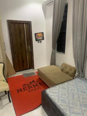 Luxury Fully Furnished 4 Bedroom Apartment with Excellent Facility, Harris Drive, Lekki, Lagos, Terraced Duplex for Rent